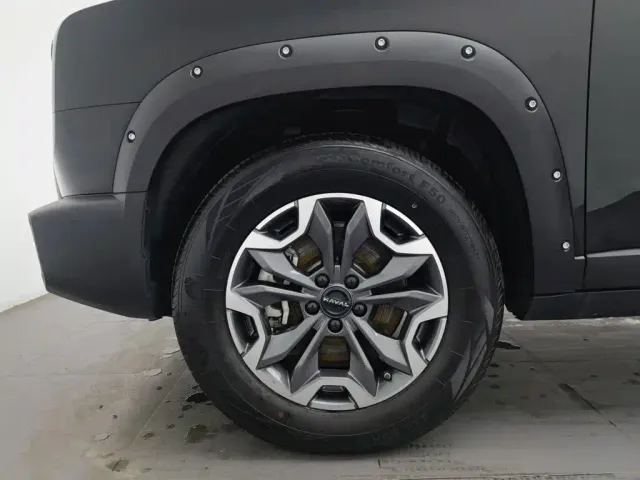 Haval Big Dog — Фото автомобиля 17