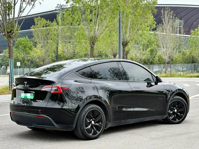 Tesla Model Y — Фото автомобиля 6
