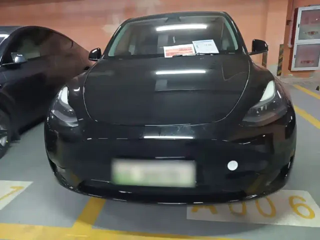 Tesla Model Y — Фото автомобиля 2