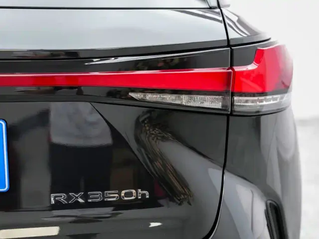 Lexus RX — Фото автомобиля 15