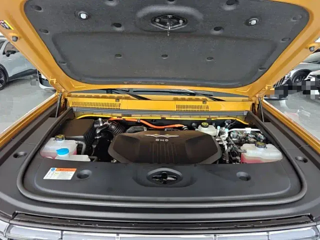 BYD FangChengBao Leopard 5 — Фото автомобиля 19