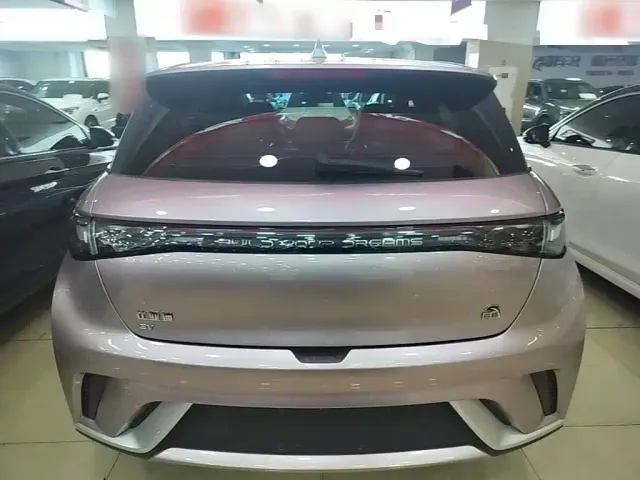 BYD Dolphin — Фото автомобиля 5