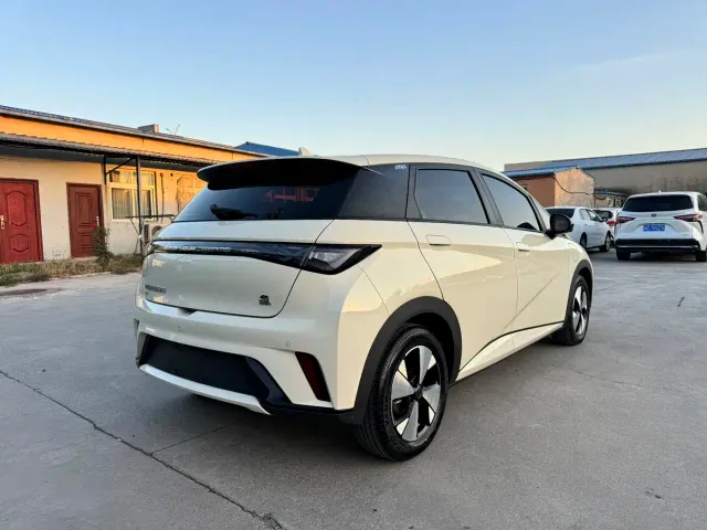 BYD Dolphin — Фото автомобиля 11