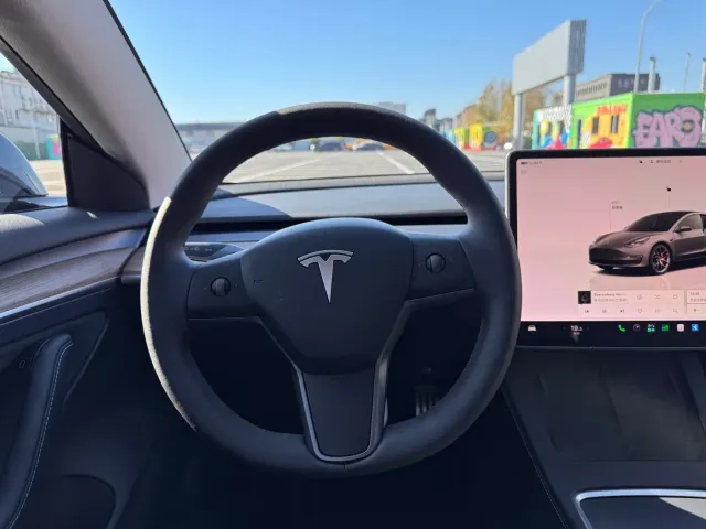 Tesla Model 3 — Фото автомобиля 15