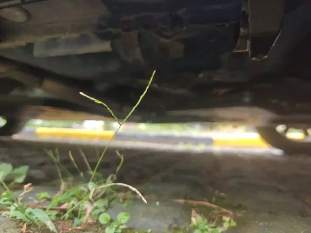 Honda Fit — Фото автомобиля 17