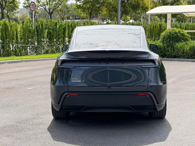 Tesla Model Y — Фото автомобиля 8