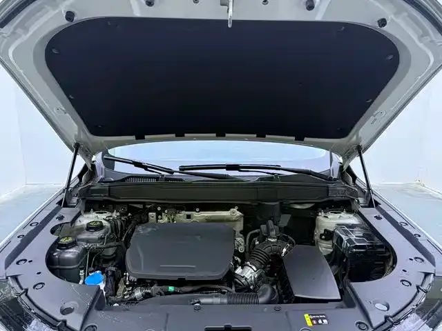 Haval Xiaolong MAX — Фото автомобиля 20