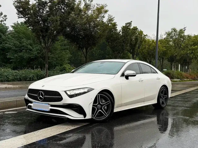 Mercedes-Benz CLS-Class — Фото автомобиля 10