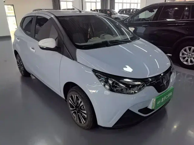 JMEV Xiaoqilin — Фото автомобиля 3
