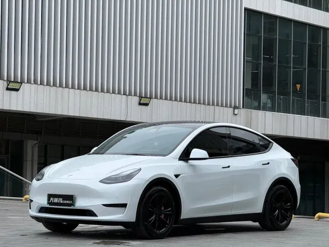 Tesla Model Y — Фото автомобиля 3