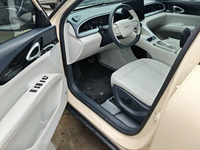 Geely Starry Wish — Фото автомобиля 15