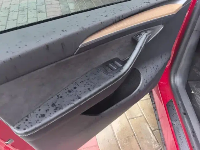 Tesla Model Y — Фото автомобиля 7