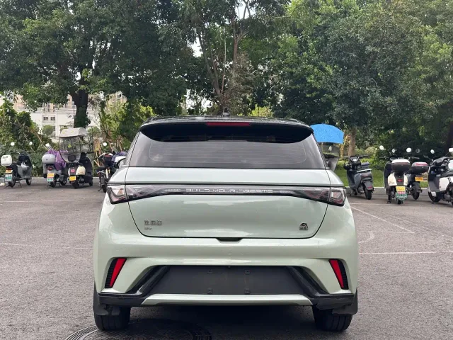 BYD Dolphin — Фото автомобиля 6