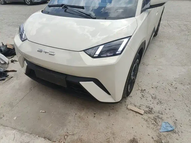 BYD Seagull — Фото автомобиля 23