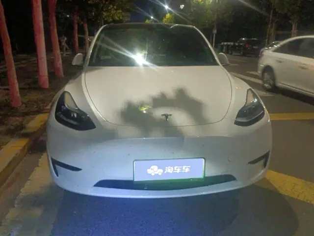 Tesla Model Y — Фото автомобиля 2