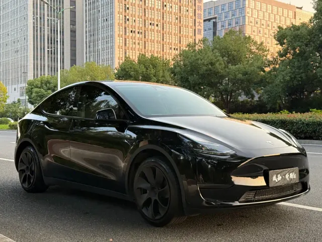 Tesla Model Y — Фото автомобиля 7