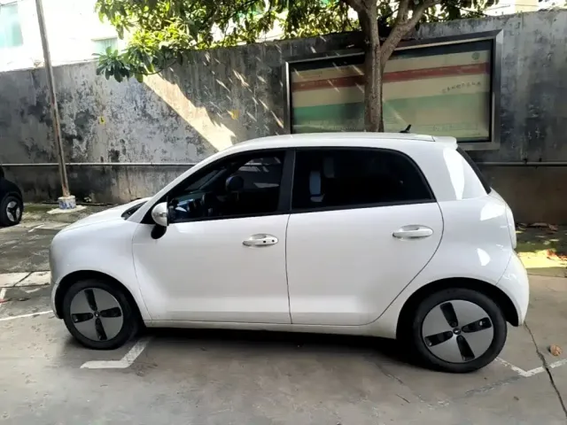 Ora Ora Black Cat 2021 301km Pet Edition — Фото автомобиля 4