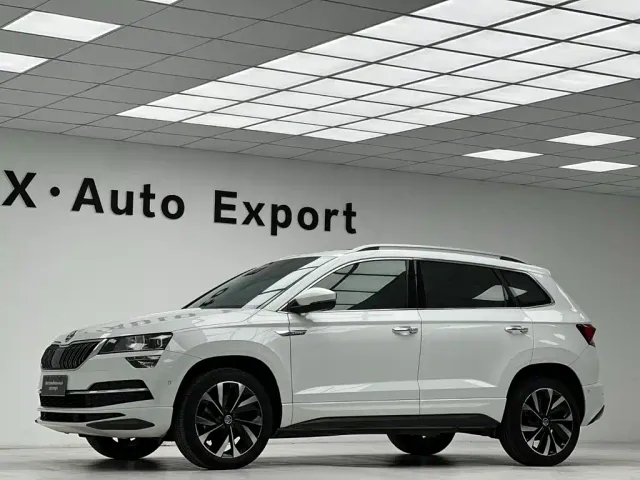 Skoda Karoq — Фото автомобиля 8