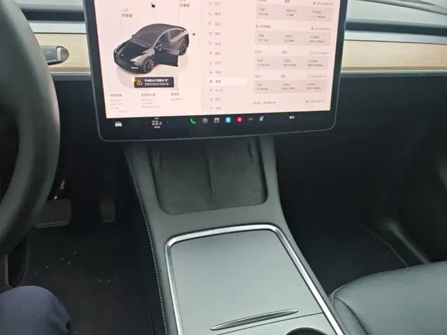 Tesla Model Y — Фото автомобиля 12