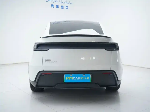 Tesla Model Y — Фото автомобиля 11