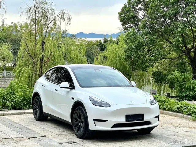 Tesla Model Y — Фото автомобиля 3