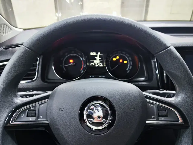 Skoda Kamiq — Фото автомобиля 15