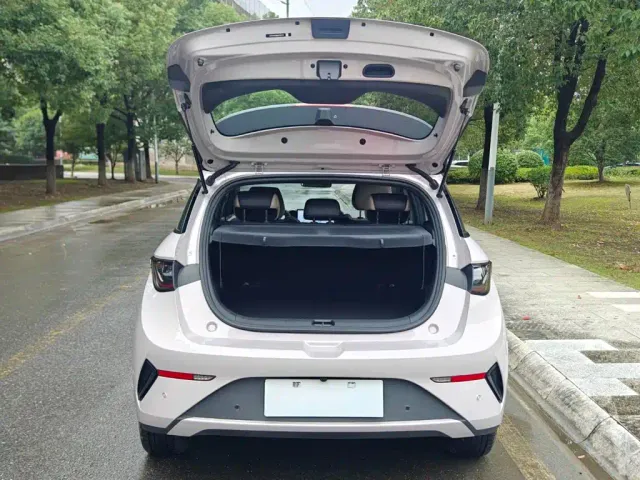BYD Dolphin — Фото автомобиля 9