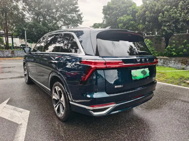 Wey Lanshan — Фото автомобиля 4