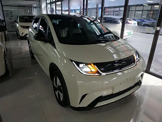 BYD Dolphin — Фото автомобиля 3