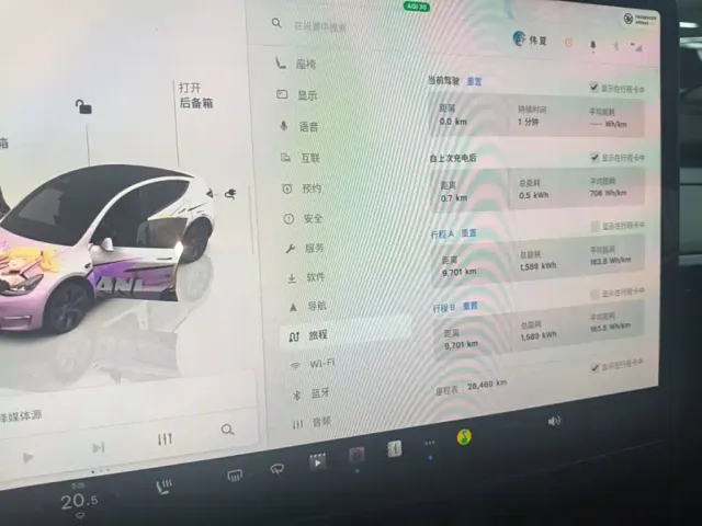 Tesla Model Y — Фото автомобиля 11