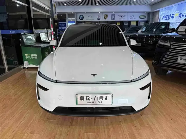 Tesla Model Y — Фото автомобиля 2