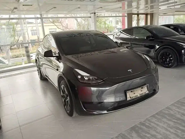 Tesla Model Y — Фото автомобиля 3