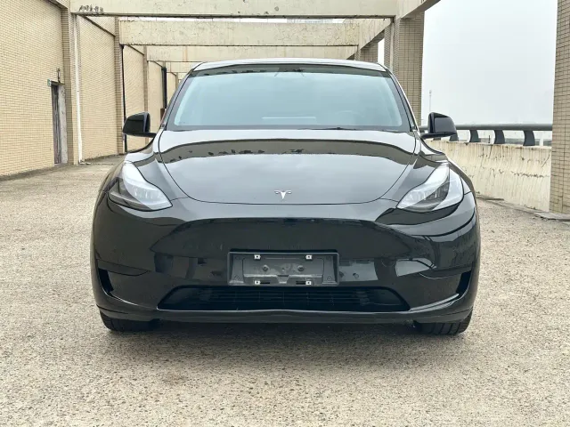 Tesla Model Y — Фото автомобиля 2