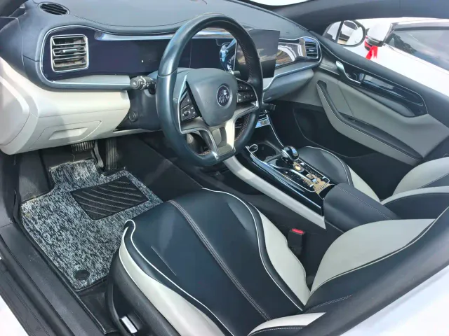 BYD Qin PLUS — Фото автомобиля 10