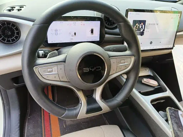 BYD Dolphin — Фото автомобиля 10