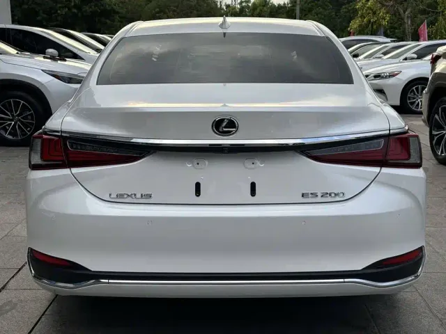 Lexus Lexus ES 2020 200 Excellence — Фото автомобиля 4