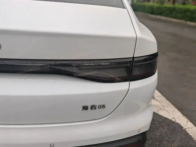 BYD Hai Bao 05 DM-i 2025 DM-i Smart Drive Edition 55KM Luxury — Фото автомобиля 10