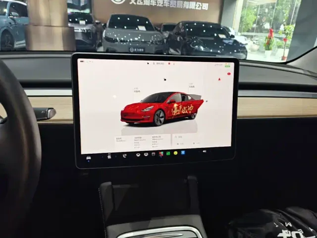 Tesla Model 3 — Фото автомобиля 12