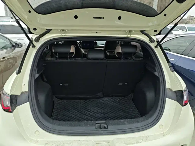 BYD Dolphin — Фото автомобиля 18