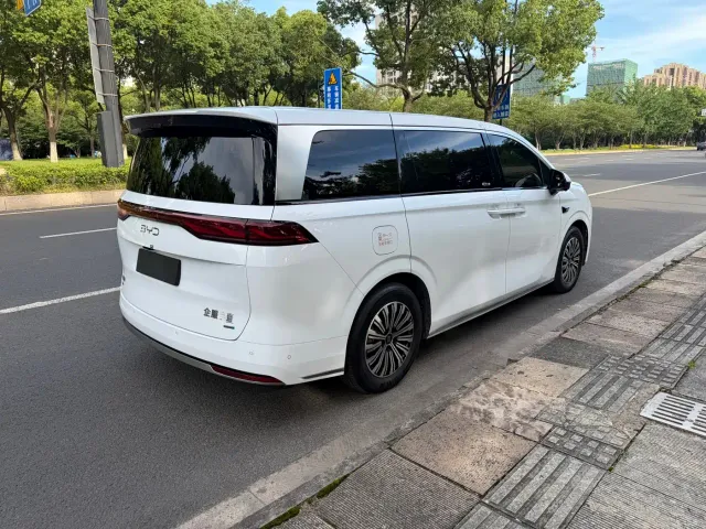 BYD Xia — Фото автомобиля 15