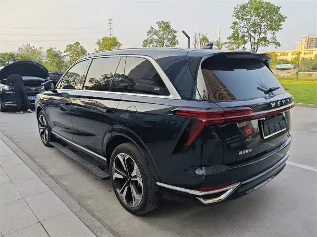 Wey Lanshan — Фото автомобиля 6