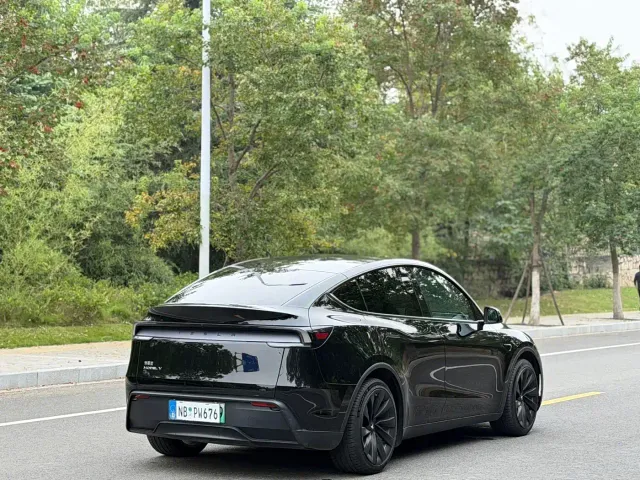 Tesla Model Y — Фото автомобиля 13