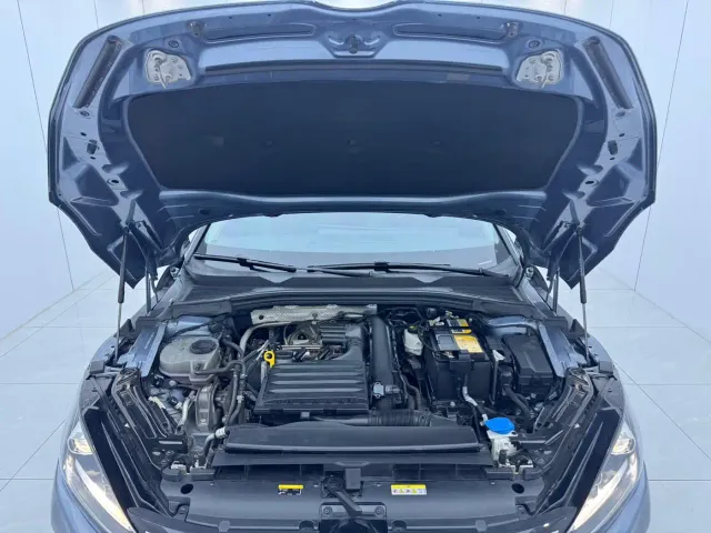 Volkswagen Lamando — Фото автомобиля 16