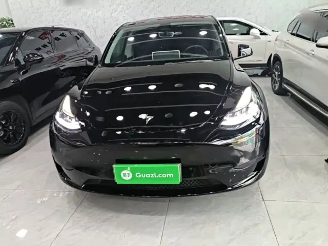Tesla Model Y — Фото автомобиля 2