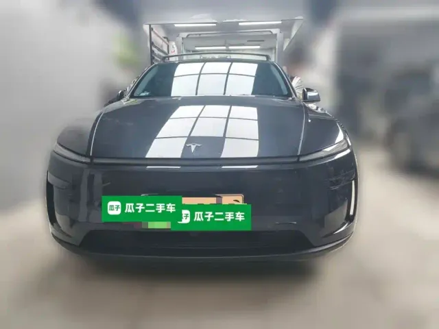 Tesla Model Y — Фото автомобиля 2