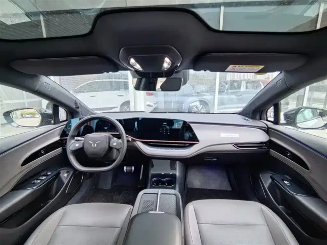 Hongqi EH7 — Фото автомобиля 8
