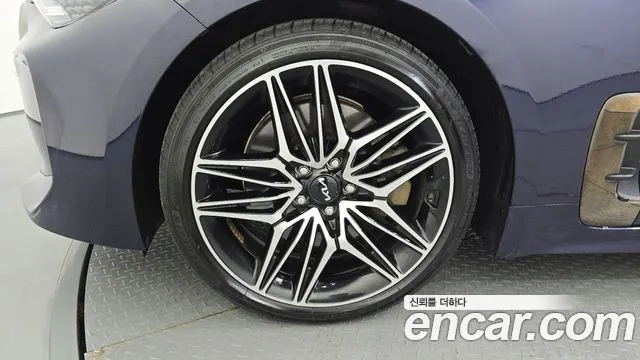 Kia Stinger Stinger Meister 2.5 Masters — Фото автомобиля 5