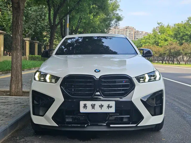 BMW X6 M — Фото автомобиля 4