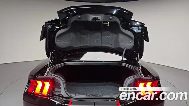 Ford Mustang — Фото автомобиля 7