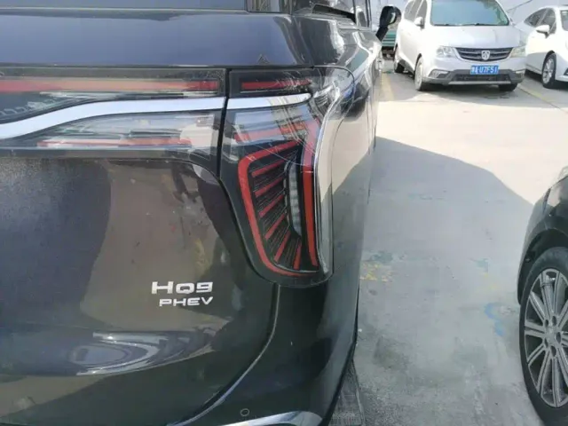 Hongqi HQ9 PHEV — Фото автомобиля 7
